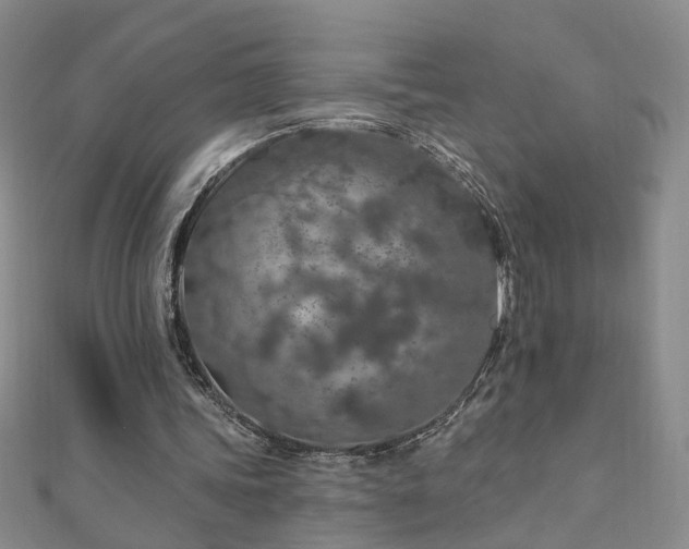 X0000110880339200906181230
