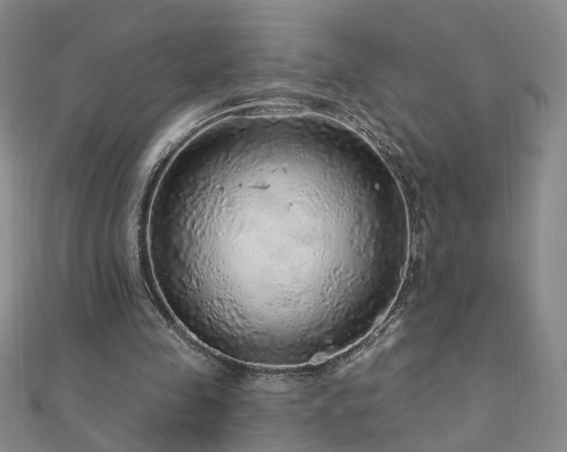 X0000110880341200906181230
