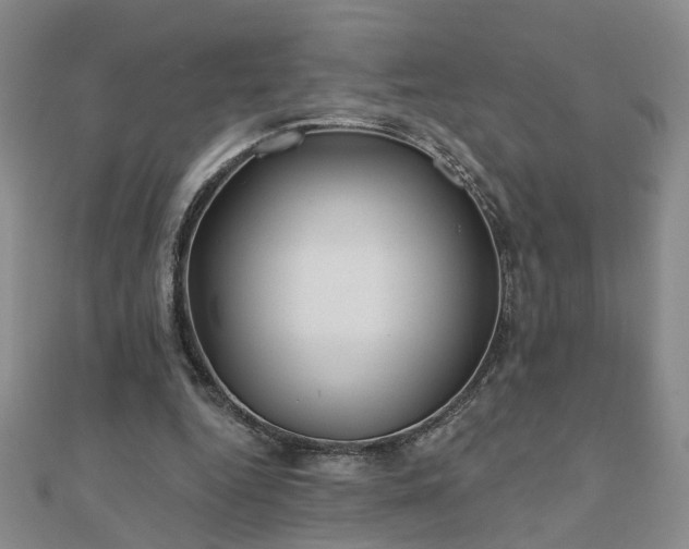 X0000110880344200906181230