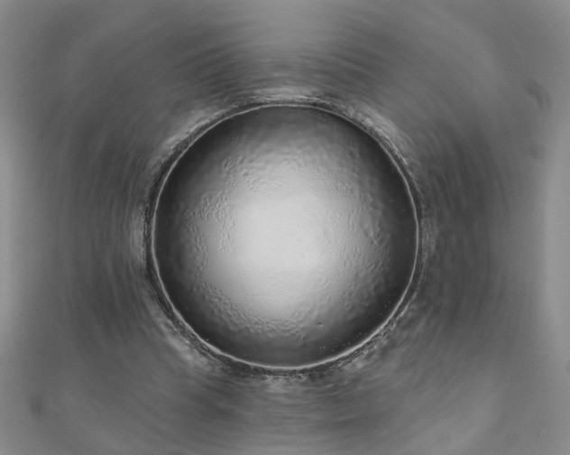 X0000110880345200906181230