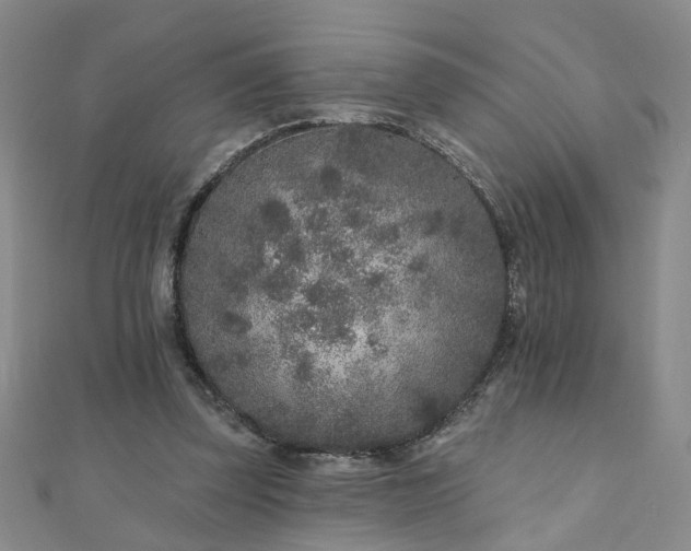 X0000110880347200906181230