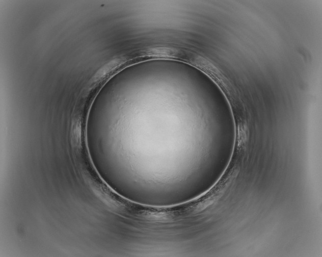 X0000110880349200906181230