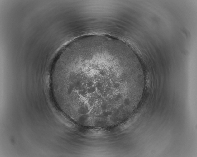 X0000110880351200906181230