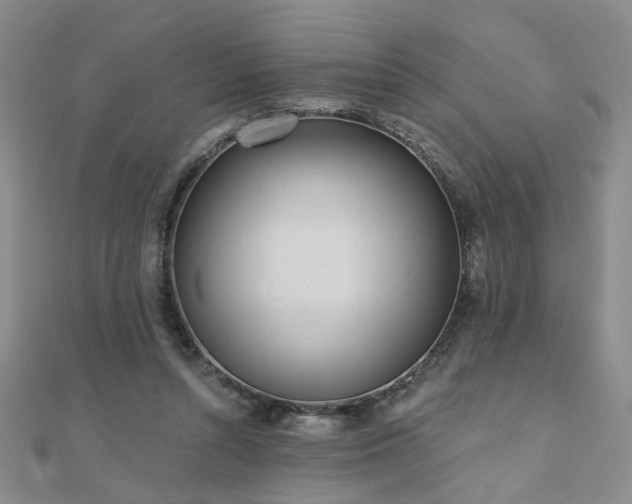 X0000110880352200906181230