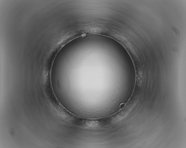 X0000110880355200906181230