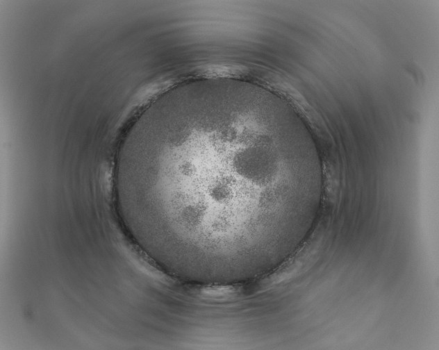 X0000110880357200906181230