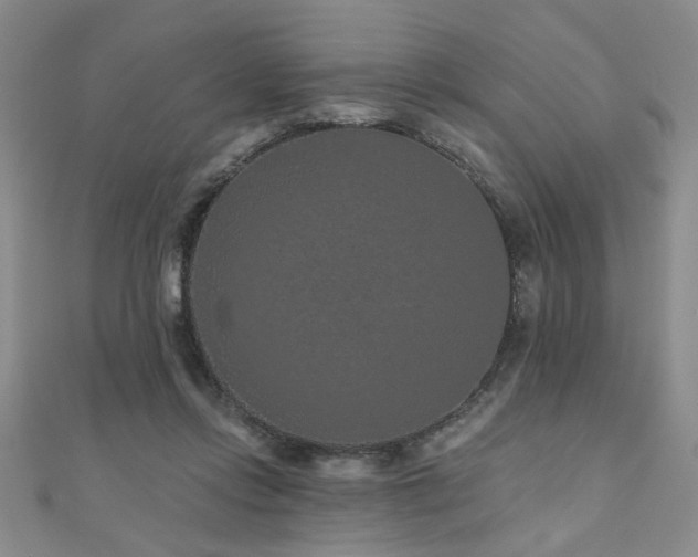 X0000110880358200906181230