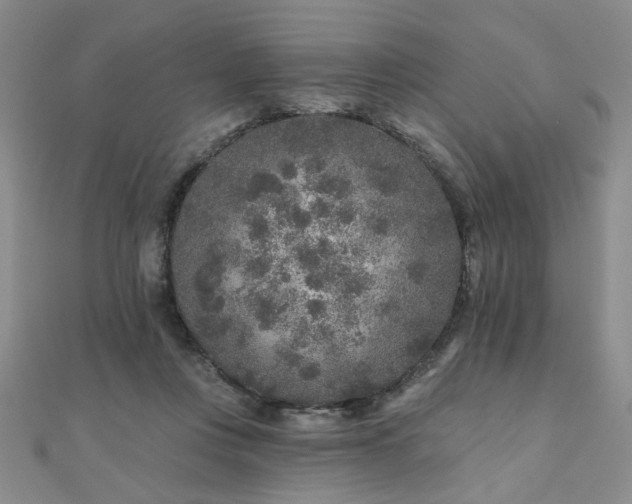 X0000110880359200906181230
