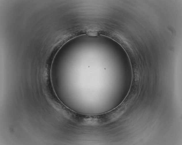 X0000110880362200906181230
