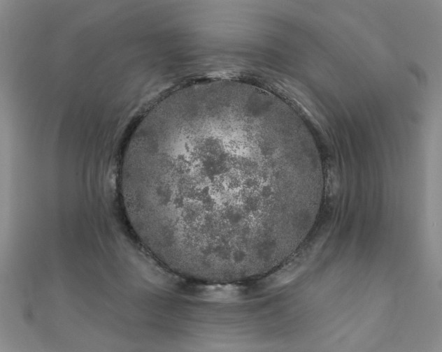 X0000110880363200906181230