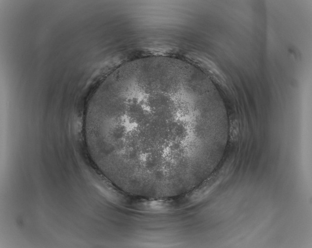 X0000110880365200906181230