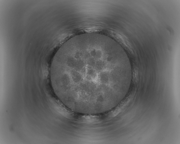 X0000110880367200906181230