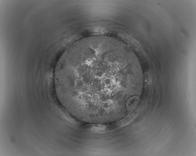 X0000110880369200906181230