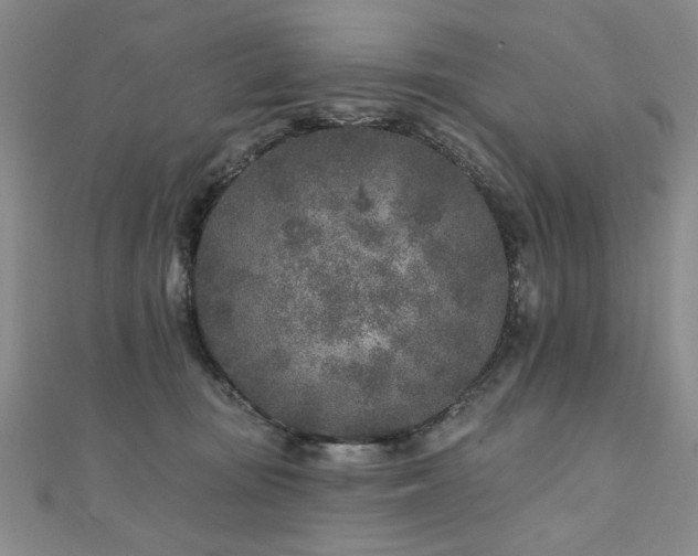 X0000110880371200906181230
