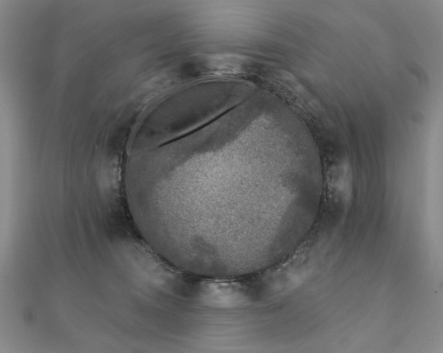 X0000110880372200906181230