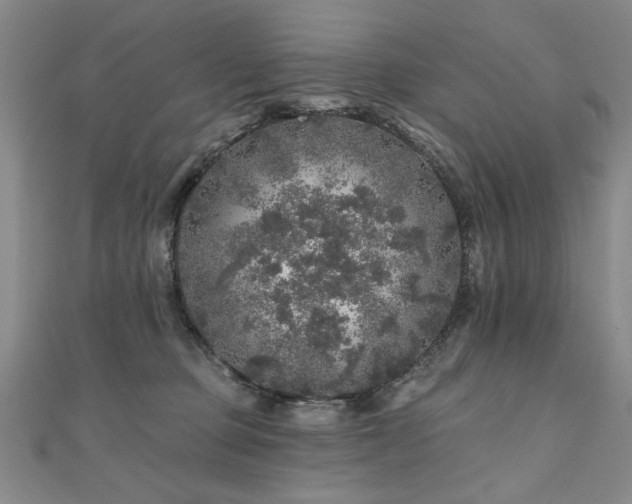 X0000110880373200906181230