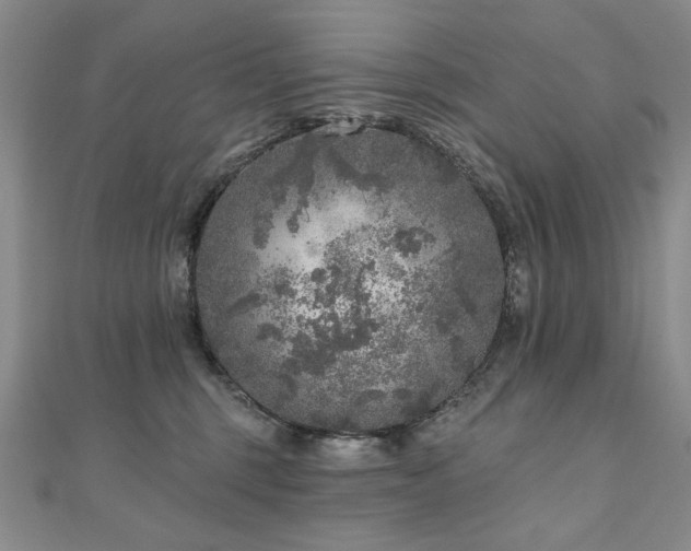 X0000110880375200906181230