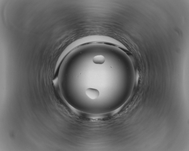 X0000110880376200906181230