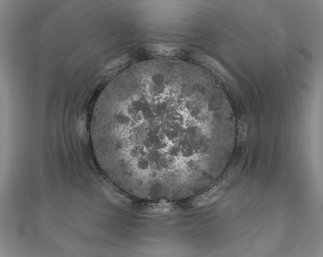X0000110880377200906181230