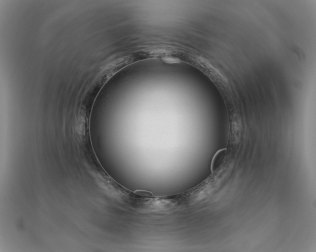 X0000110880379200906181230
