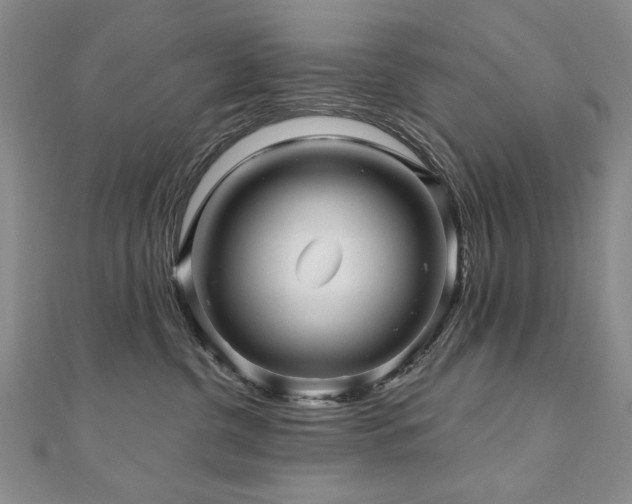 X0000110880380200906181230