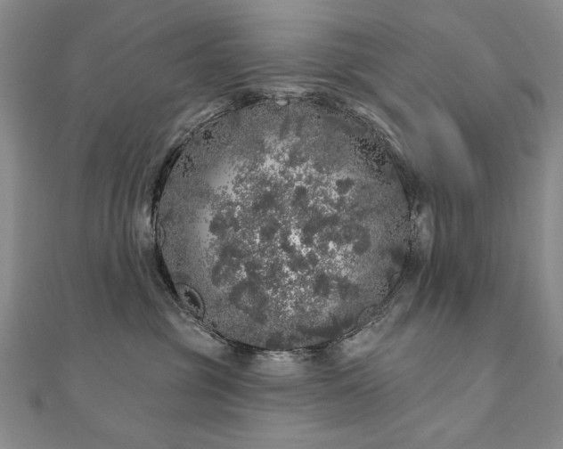 X0000110880381200906181230