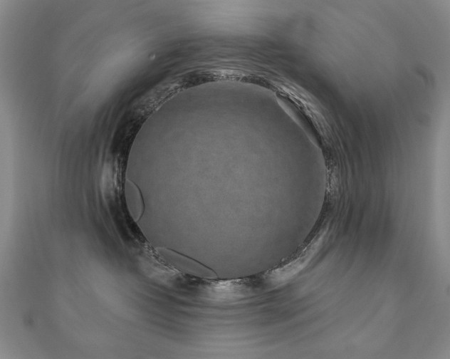 X0000110880382200906181230