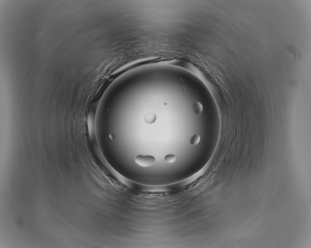 X0000110880384200906181230