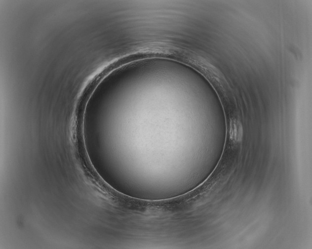 X0000110880388200906181230