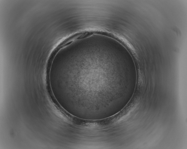 X0000110880391200906181230