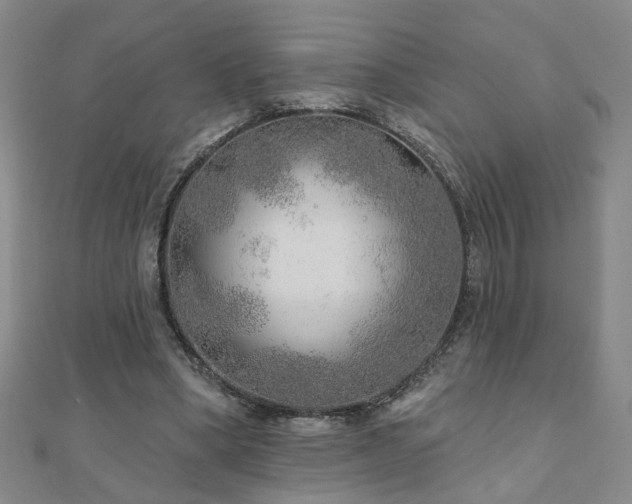 X0000110880394200906181230