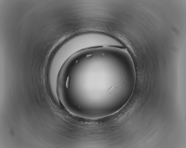 X0000110880395200906181230
