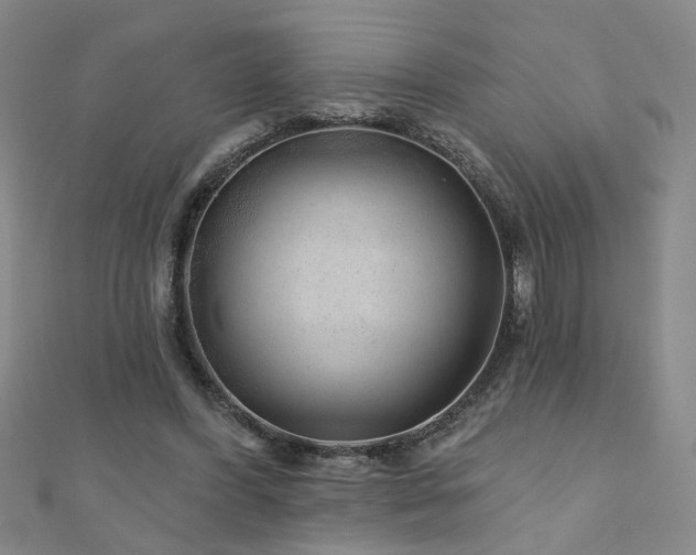 X0000110880396200906181230