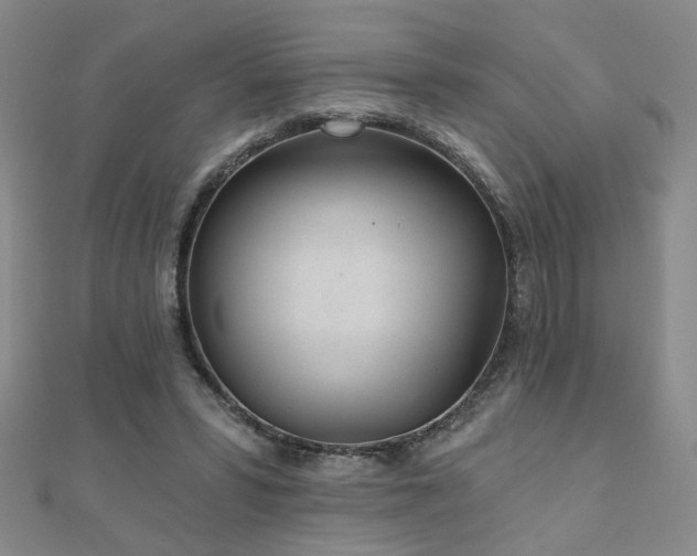 X0000110880399200906181230
