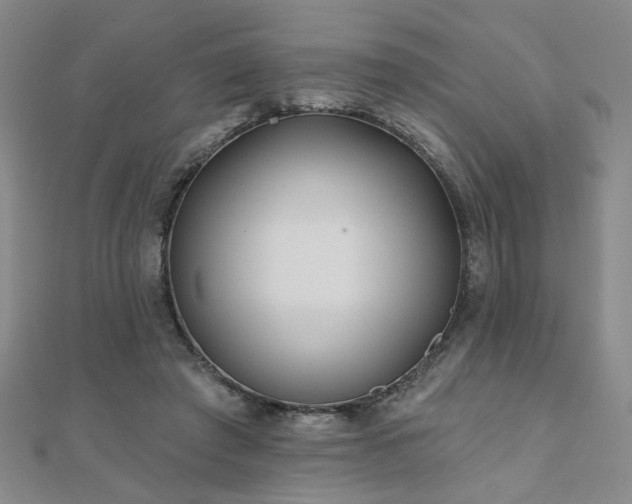 X0000110880401200906181230