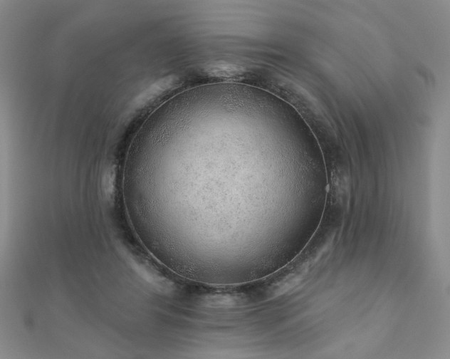 X0000110880404200906181230