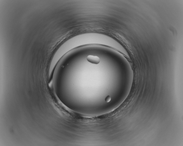X0000110880405200906181230