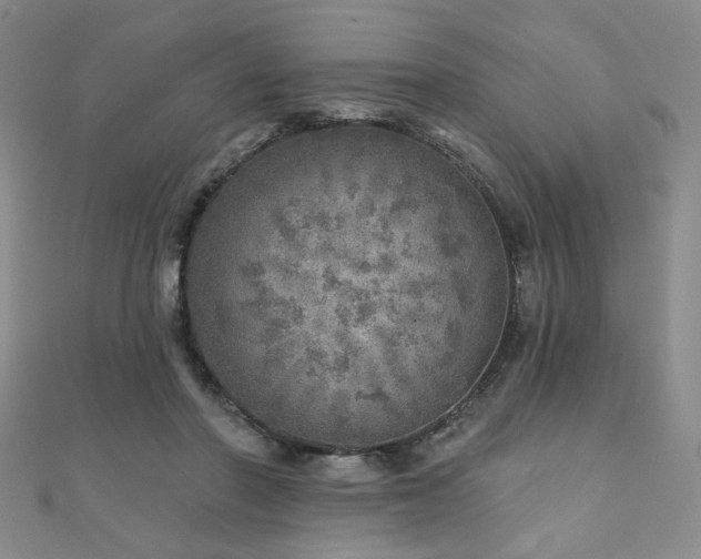X0000110880406200906181229