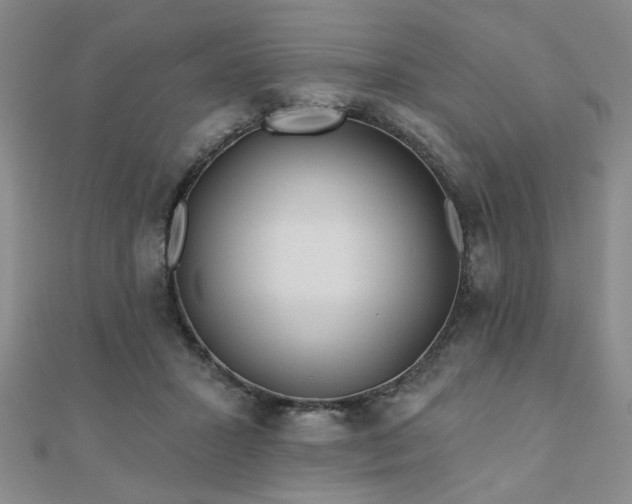 X0000110880407200906181229