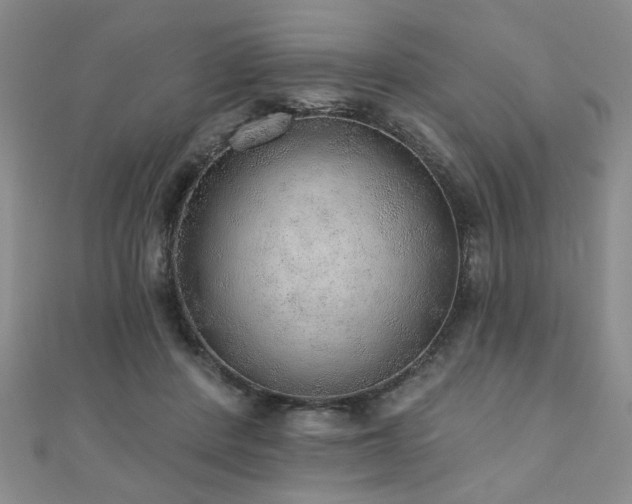 X0000110880408200906181229