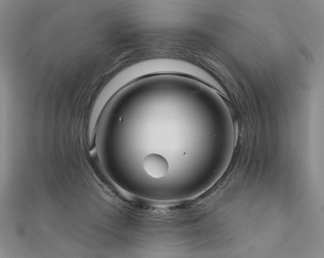 X0000110880409200906181229