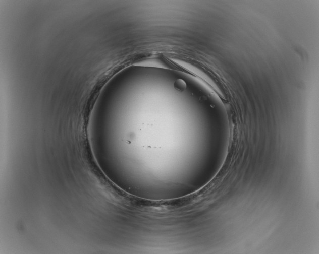 X0000110880411200906181229