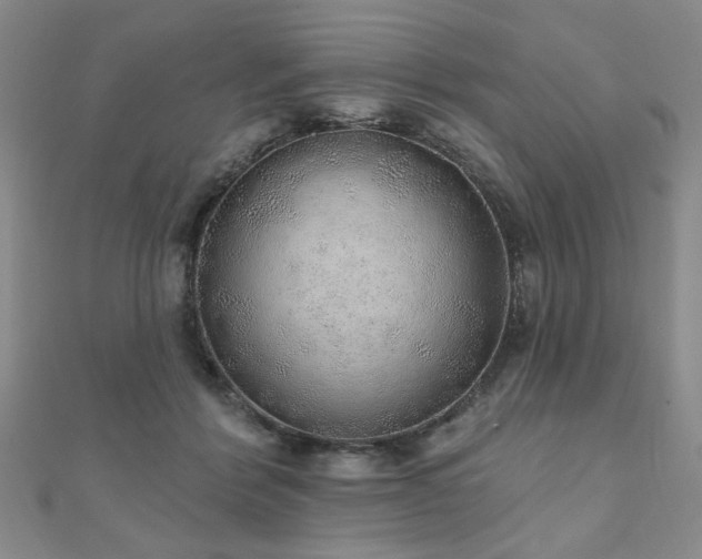X0000110880412200906181229