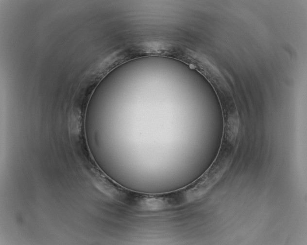 X0000110880413200906181229