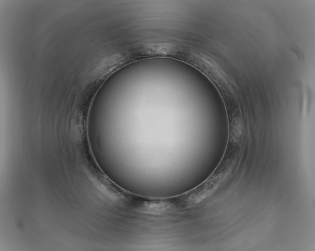 X0000110880414200906181229