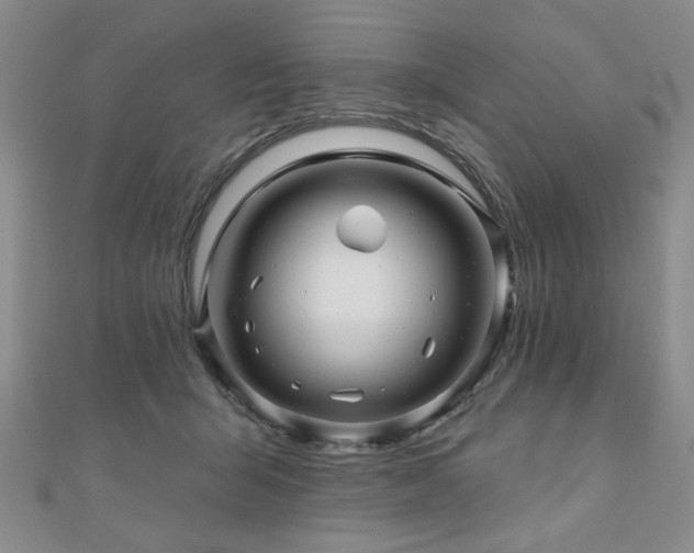 X0000110880415200906181229
