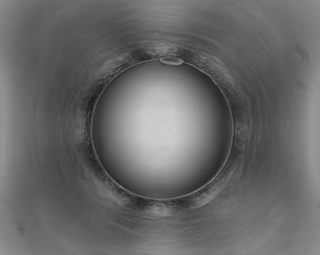 X0000110880416200906181229