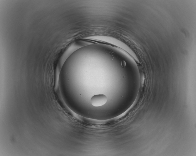 X0000110880417200906181229
