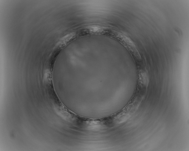 X0000110880419200906181229