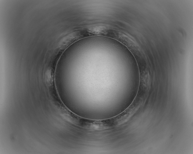 X0000110880420200906181229